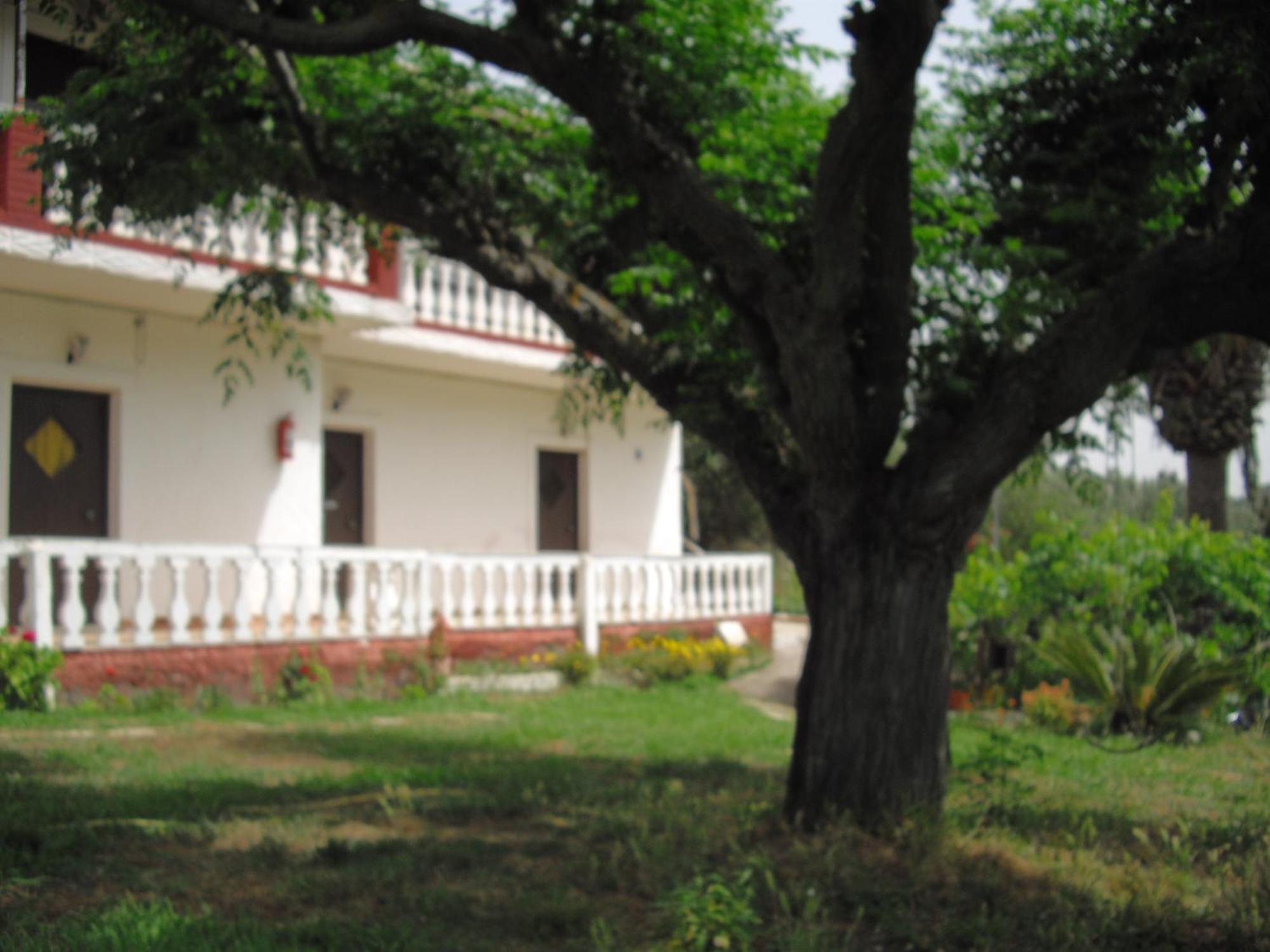 Corfu Country House Vitaládes Værelse billede